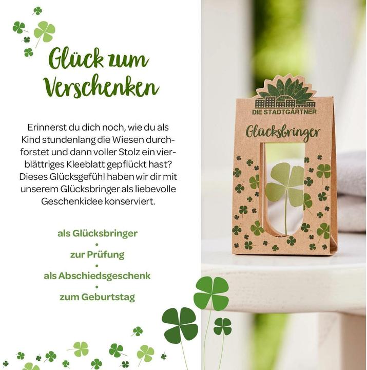Actual product image Die Stadtgärtner Lucky charm (Dried flowers, 1x)