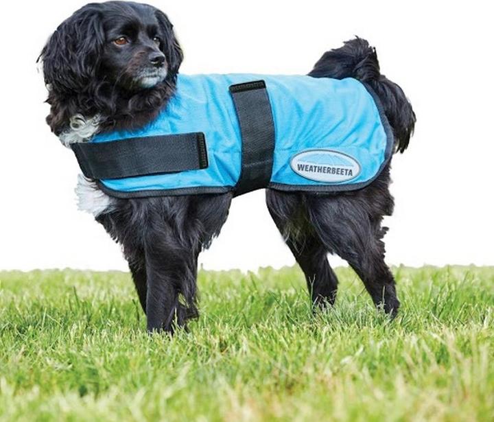 Produktbild Weatherbeeta HundeKühlmantel TherapyTec (30, Hundeoverall)