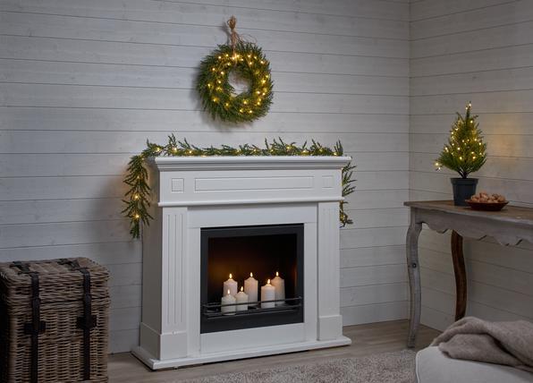 Produktbild Star Trading Thuja