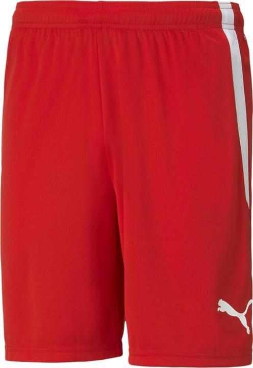 Actual product image Puma teamLIGA Shorts-704924 (XL)