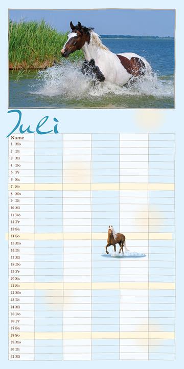 Actual product image Family planner horse 2025 (German)