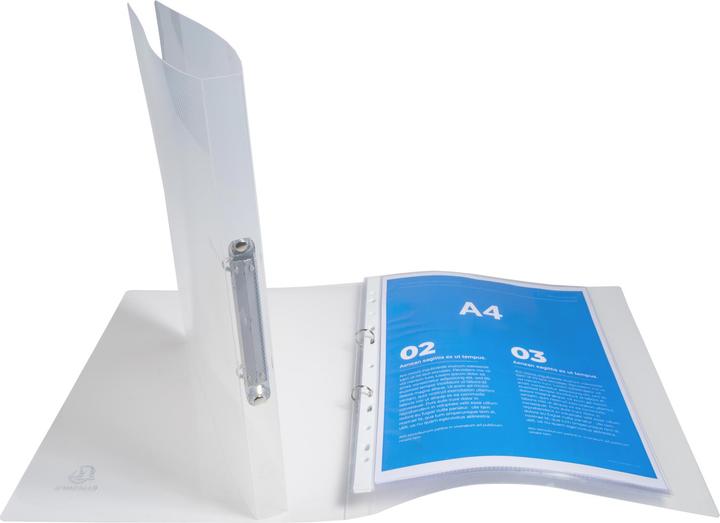 Actual product image Exacompta ring binder A4 PP 2-ring 15mm spine 20mm (A4, 20 mm, 1 pcs.)