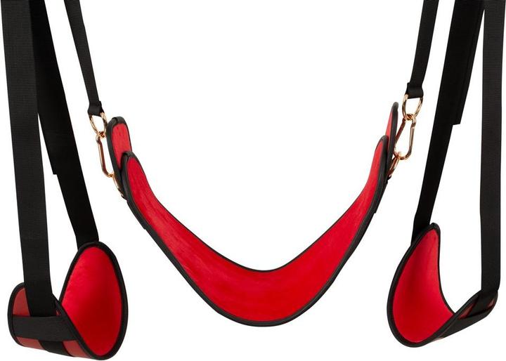 Actual product image Bad Kitty Door Swing