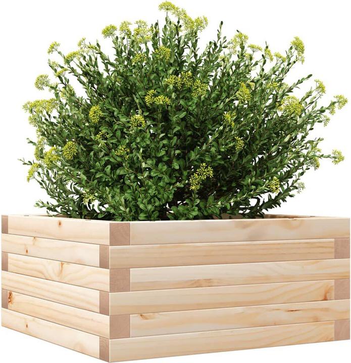 Produktbild vidaXL Pflanzgefäss