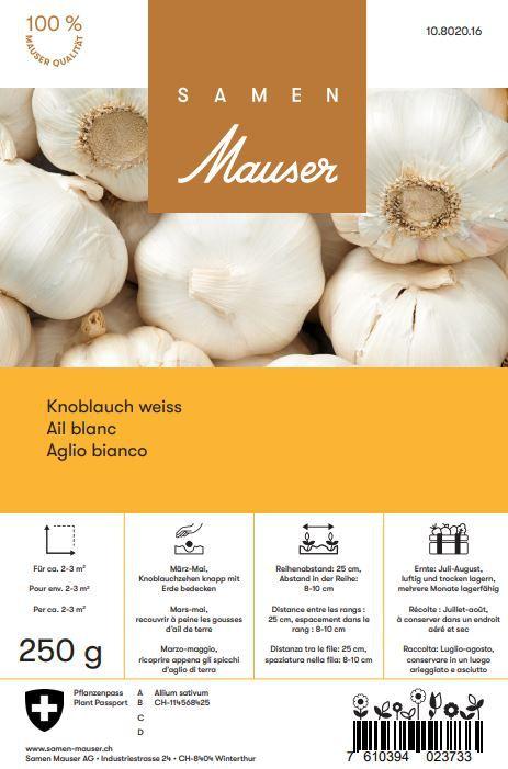 Samen Mauser Knoblauch (Blumenzwiebeln)