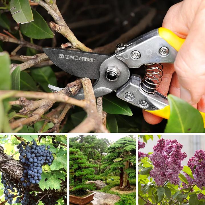 Actual product image Grüntek Bypass Baum-, Garten- & Astschere Phoenix