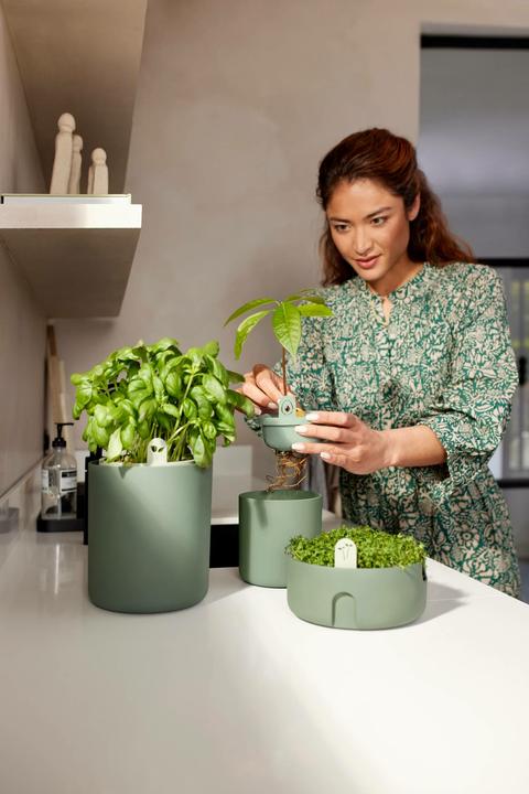 Produktbild Elho Amazing Avocado Pot (120 x 12.10 cm)