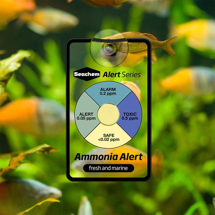 Actual product image Seachem Ammonia Alert 1 Year - (159.0005)