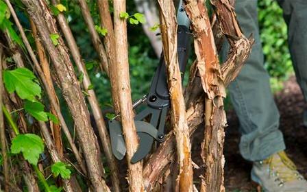 Actual product image Gardena SlimCut