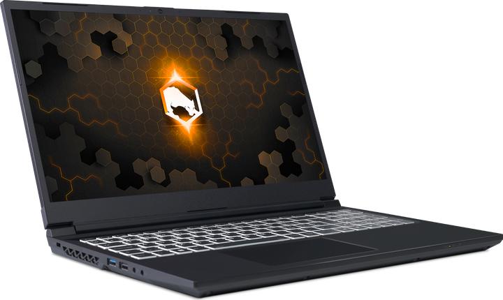 Immagine prodotto Joule Performance ARGOS 15 RTX3060 I7 (15.60", 1000 GB, 16.38 GB, DE, Intel Core i7-12700)