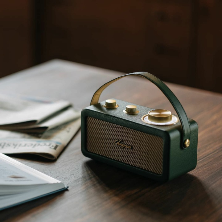 Image du produit Sangean RA-101 Radio à piles FM Bluetooth®, AUX rechargeable Vert, Or (FM, Bluetooth)