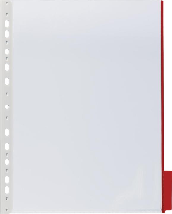 Produktbild Durable Sichttafel FUNCTION Verwendung für Papierformat: DIN A4 Werkstoff: Hart PVC (A4)