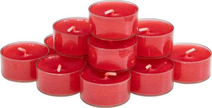 Actual product image Steinhart Lights (12 pcs.)