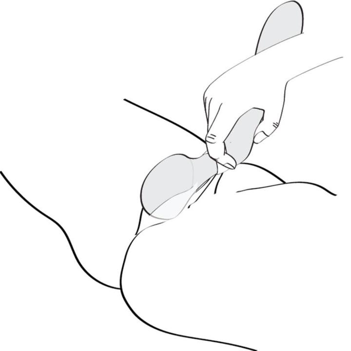 Immagine prodotto Shunga Massaggiatore intimo Zoa nero