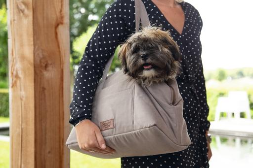 Actual product image Designed by Lotte Carrier bag (Dog, Can be opened completely)