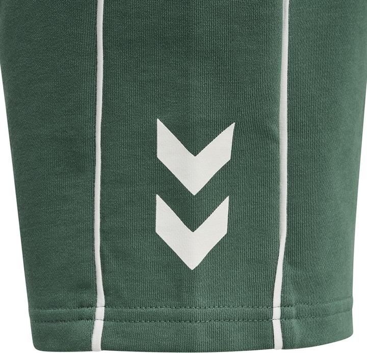 Image du produit hummel Hmldexter Shorts