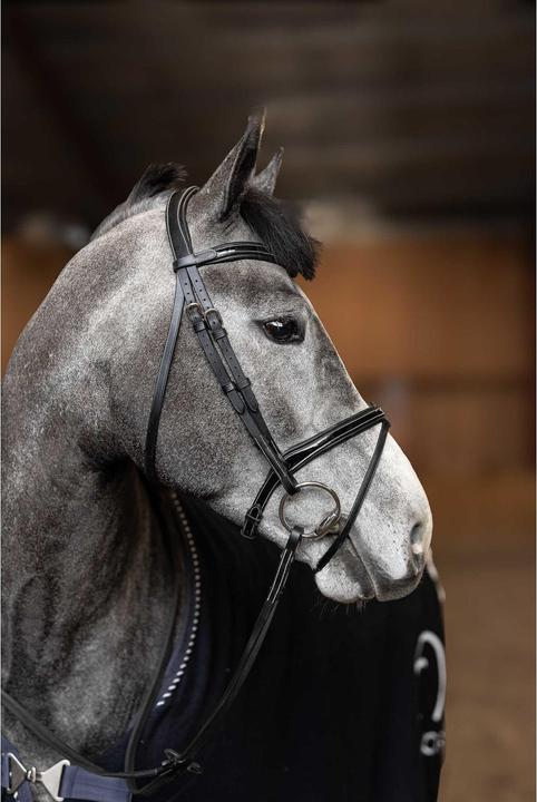 Actual product image HFI Master Painted