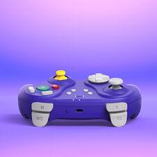 Actual product image NYXI Warrior Switch 1 & 2 Controller - Purple (Switch 2)