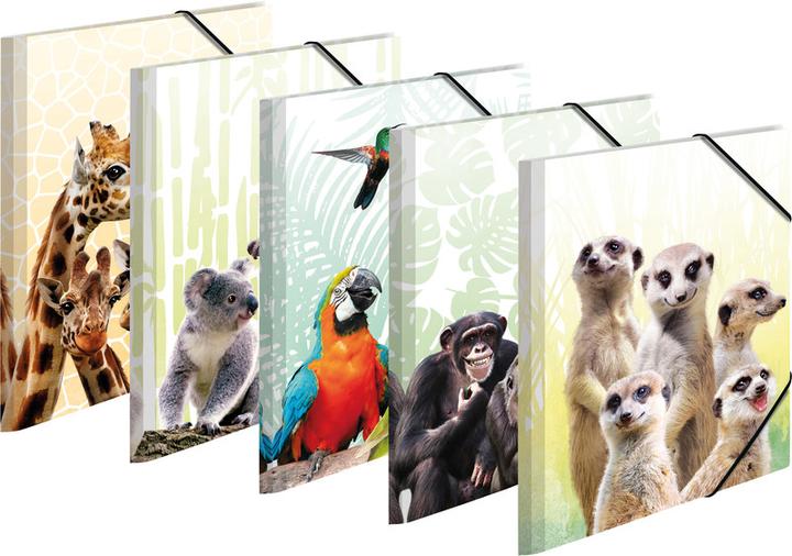 Actual product image HERMA A4 motif folder (A4, 1x)