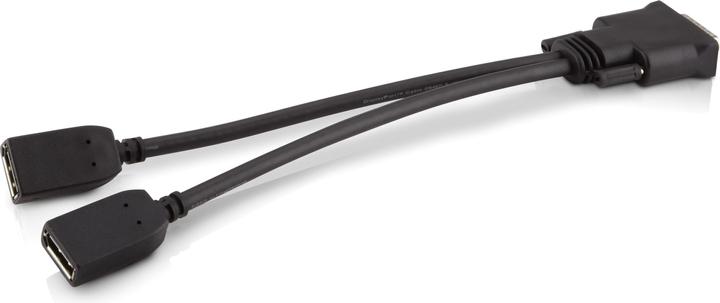 HP DMS59 bis (0.30 m, DisplayPort)