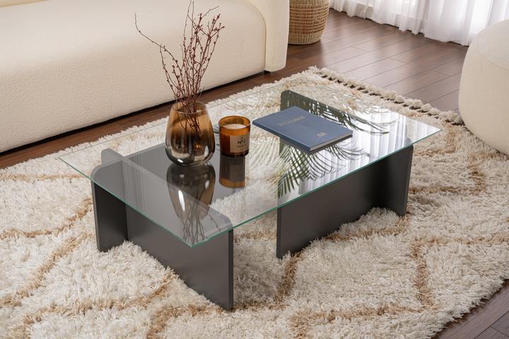 Actual product image Skye Decor Flavio Coffee Table (105 x 30 x 65 cm)