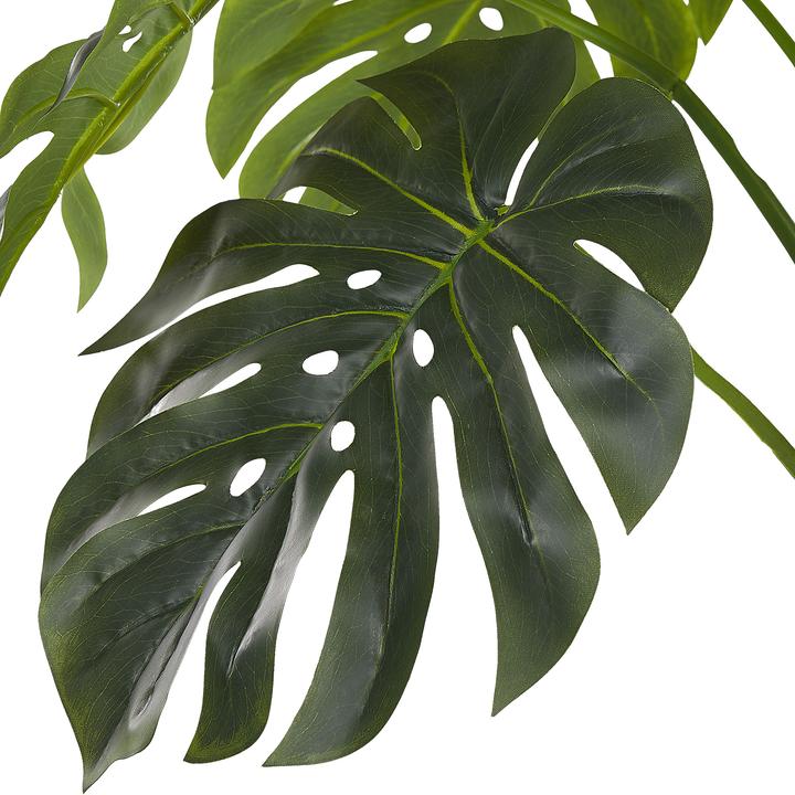 Immagine prodotto Beliani Monstera Plant (113 cm)