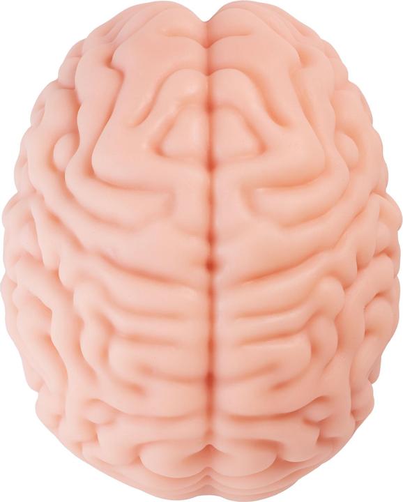 Actual product image Seiraku Toys Brain Hacker