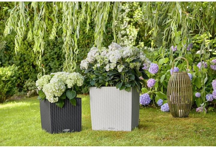 Actual product image Lechuza Cube Cottage (29.50 cm)