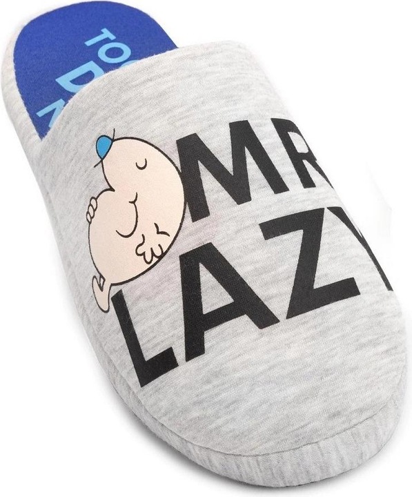 Actual product image Mr. Men Slippers (40.5)