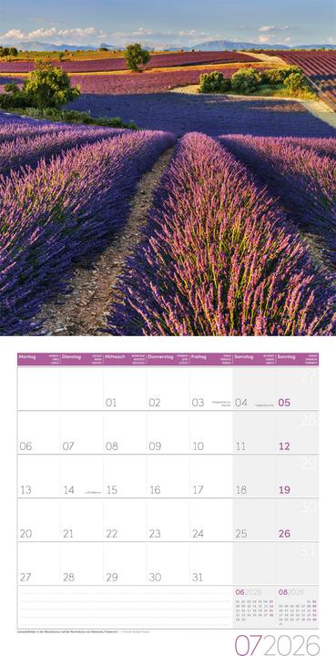 Actual product image Traumpfade Kalender 2026 - 30x30 (30 x 30 cm)