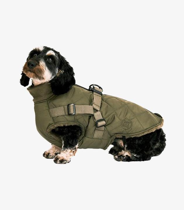 Actual product image Pet & Co. Ruby - Padded coat with harness - Olive (Dog coat)