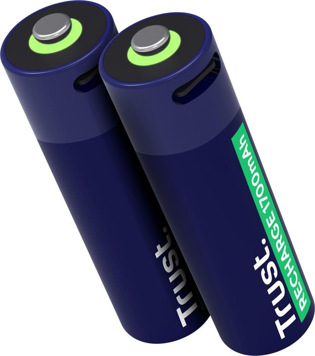 Actual product image Trust USB-C Rechargeable Batteries 2p (2 pcs., AA, 1700 mAh)