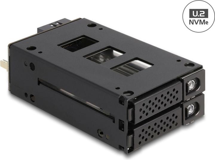 Actual product image Delock 47019 - Removable frame for 2x 2.5 U.2 NVMe SSD Slim Bay