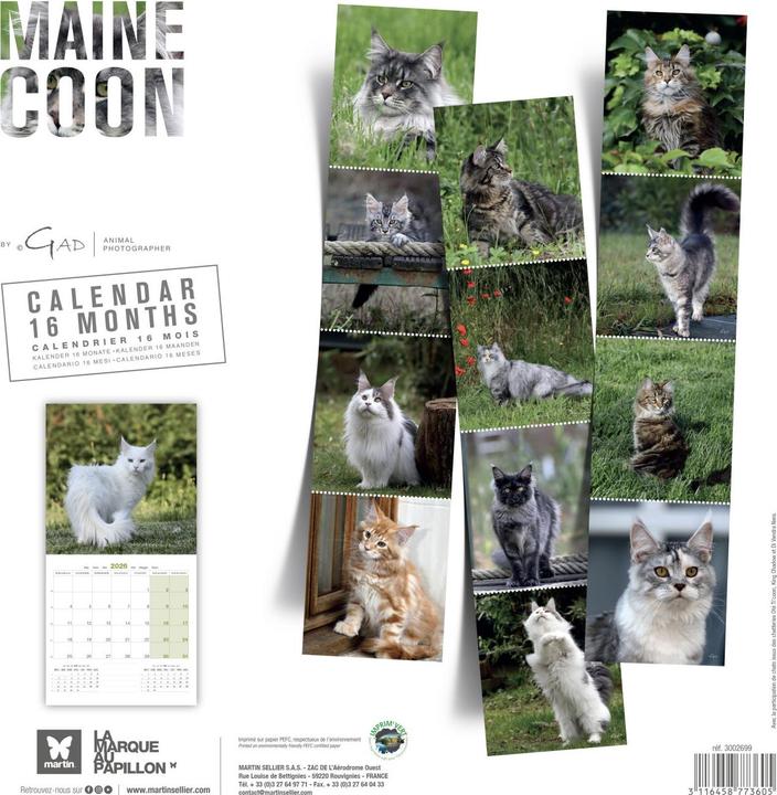 Produktbild Martin Sellier Maine Coon