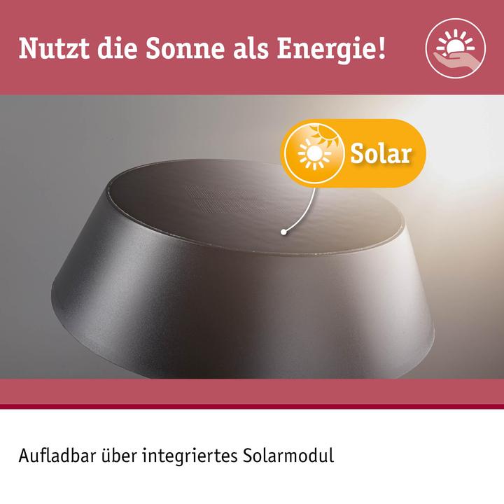 Actual product image Paulmann Solar table lamp Soala (320 lm)
