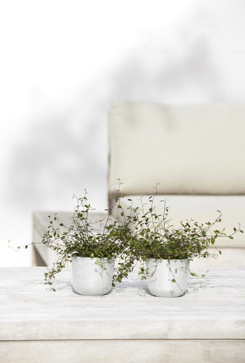 Immagine prodotto Ecopots Oslo Mini (16 cm)