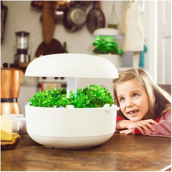 Produktbild Plantui Smart Garden (29 cm)