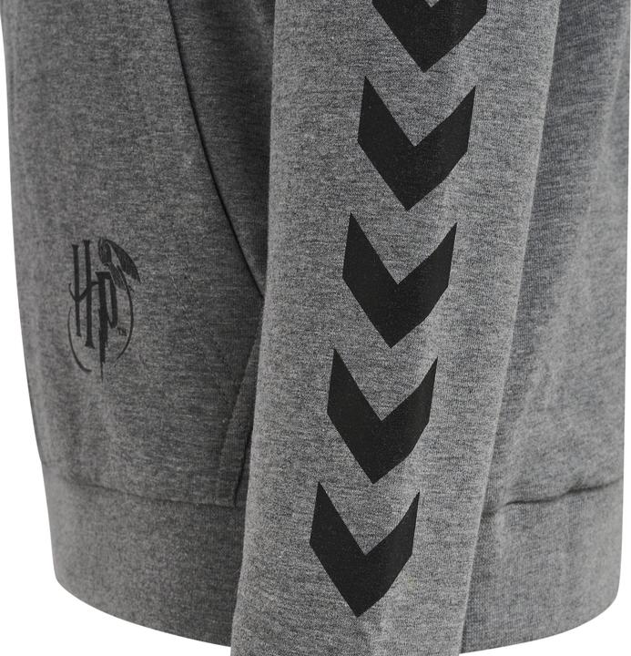 Produktbild hummel Hmlharry Potter Cuatro Hoodie (110)