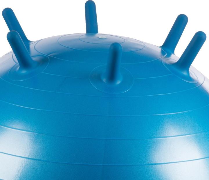 Actual product image Ledraplastic Sit ball Sit 'n' Gym (65 cm)