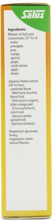 Produktbild Salus Magnesium Liquid Mineral (1 Stk., Flüssigkeit, 628 g)