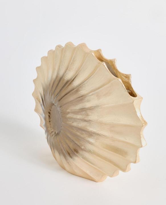 Immagine prodotto Hanah Home Seashell Decorative Object