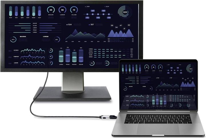Image du produit Renkforce RF-6418168 Adaptateur USB-C® / HDMI (1x USB-C® mâle - 1x HDMI femelle) (HDMI)