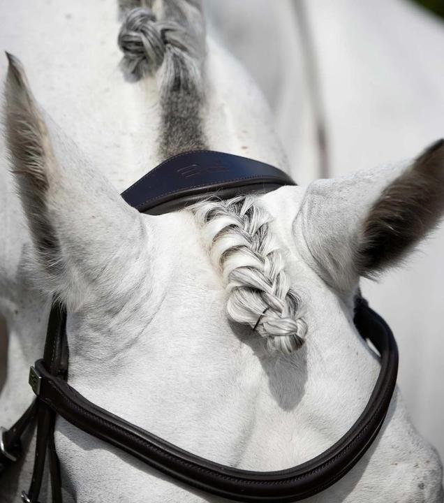 Produktbild Premier Equine Zaum Rizzo anatomisch
