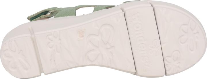 Actual product image Wonders Max (42)