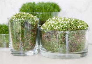 Produktbild B Living Ross (15 x 8 cm)
