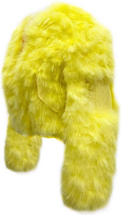 Actual product image Dsquared2 Feathers Bomber Jacket (40)