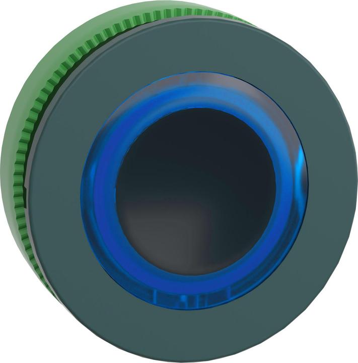 Schneider Electric Flush Blue Ill Pushbutton Head