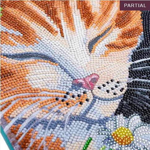 Actual product image Craft Buddy Sleeping Cats, picture 30x30cm Crystal Art