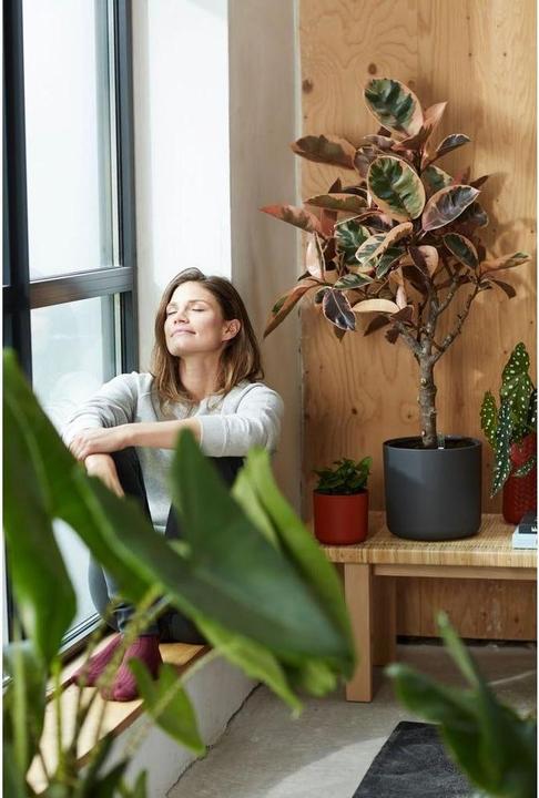 Produktbild Elho b.for soft (16 x 15 cm)