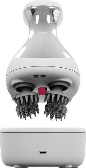 Actual product image Fitagon Head and body massager